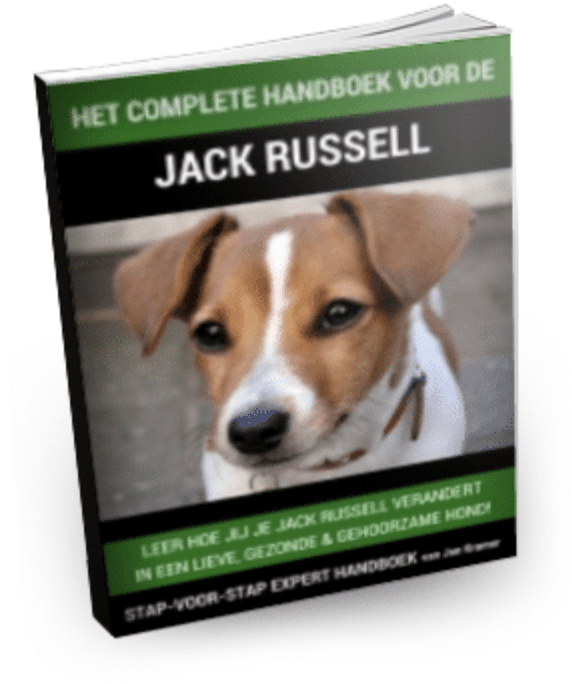 Jack Russel handboek